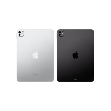 Планшет Apple iPad Pro 11" 256Gb (2024) Wi-Fi + Cellular «черный космос»
